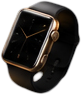 Wearable
